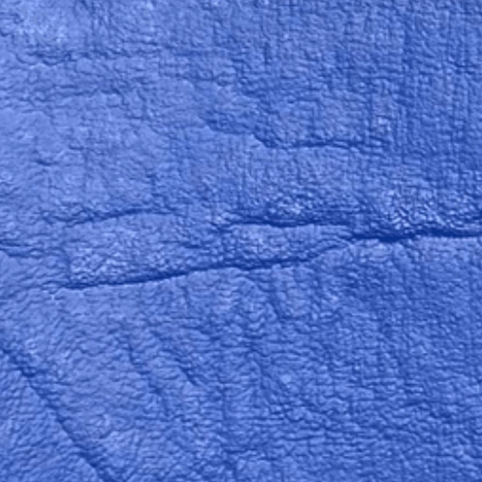 Corino Búfalo Azul Royal